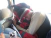 Bild: IMG_1482.jpg, Gesehen: 161