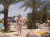 Zuf�lliges Bild