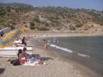 Zuf�lliges Bild