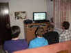 Zuf�lliges Bild